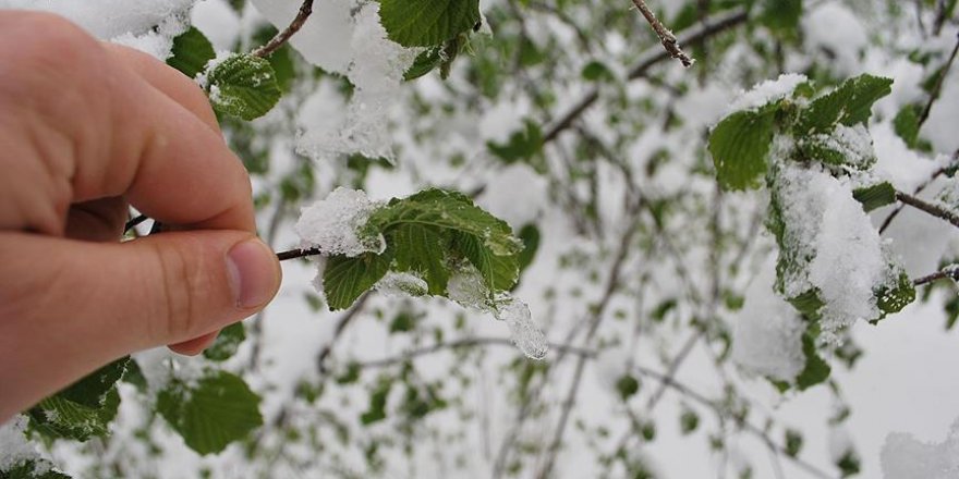 Meteoroloji'den 5 il için buzlanma ve don uyarısı