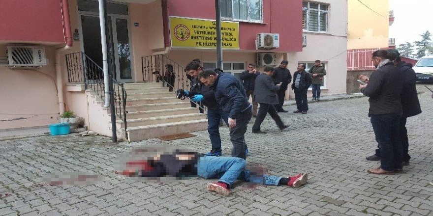 Cam kapıyı açık sanan Iraklı gencin feci sonu