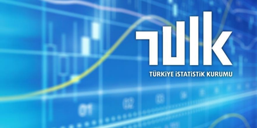 TÜİK revizyon çalışması sonrası verileri açıkladı