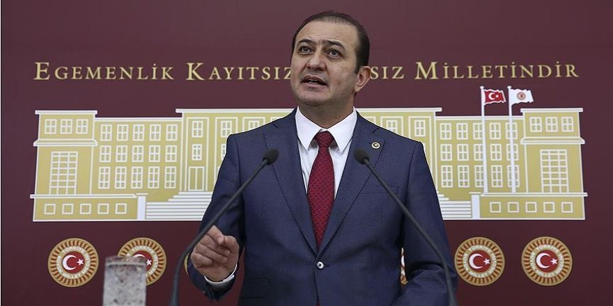 "Halep'te kelebekler çocuklardan daha fazla yaşıyor"