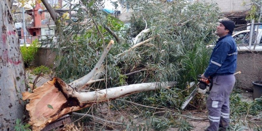Adana’da şiddetli rüzgar hayatı olumsuz etkiledi