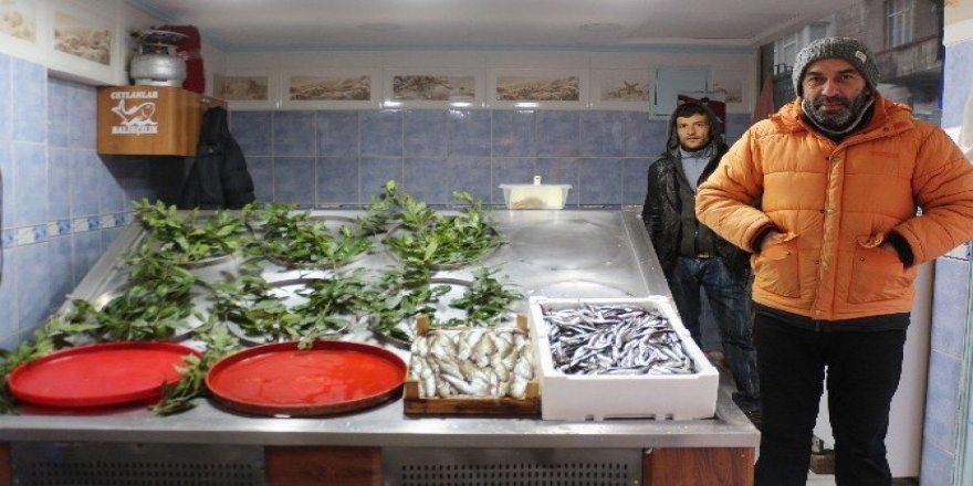 Hamsi bir günde 6 TL yükseldi
