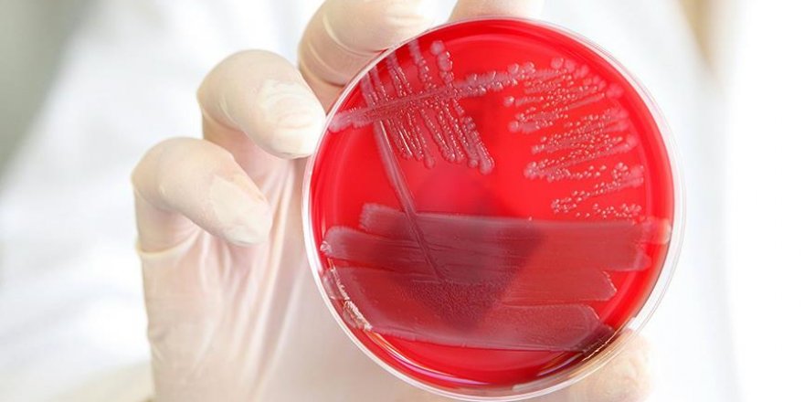 Bazı virüsler kadınları erkeklerden daha az etkiliyor