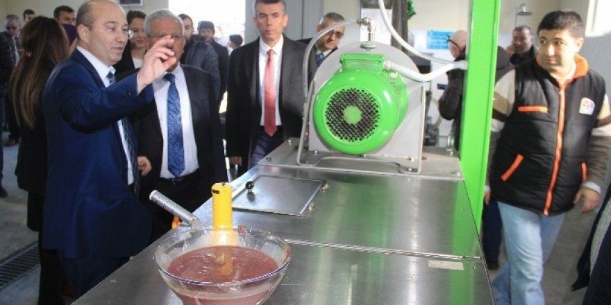Üniversiteli zeytinciler ilk yağlarını üretti