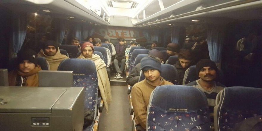 Edirne’de 83 kaçak göçmen yakalandı