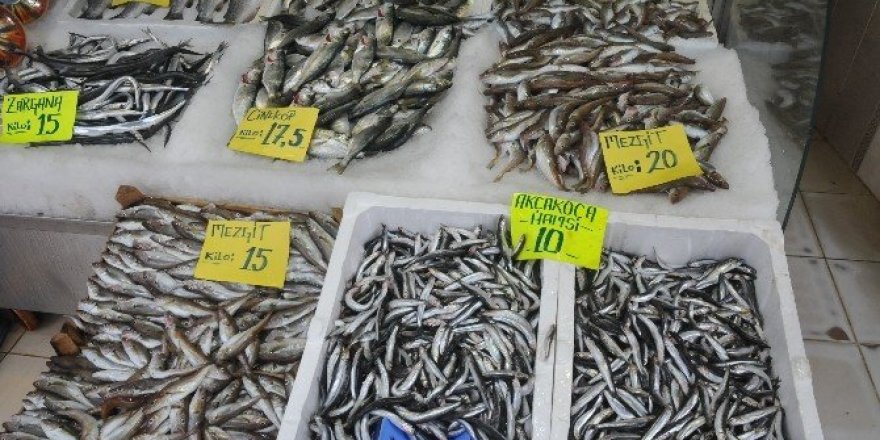 Kar yağdı, balık fiyatlarında artış yaşandı