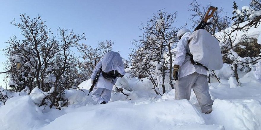 Diyarbakır'da büyük operasyon