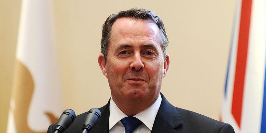 İngiliz bakandan Brexit'e ilişkin Türkiye örneği