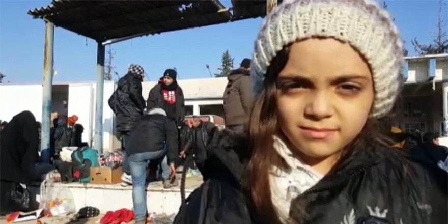 Halepli minik Bana kurtarıldı