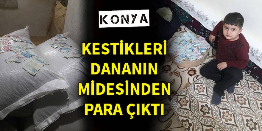 Kestiği dananın midesinden bin 900 lira çıktı