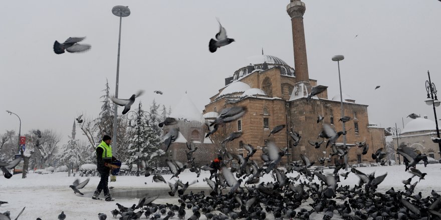 Kuşlara ve sahipsiz hayvanlara yem bırakılıyor