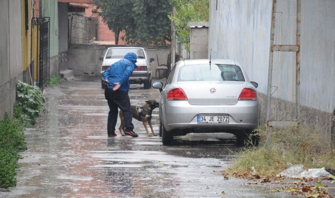Adana’da ’ikiz plaka’ alarmı