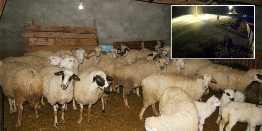 Kadın kılığına giren hırsızlar güvenlik kamerasında