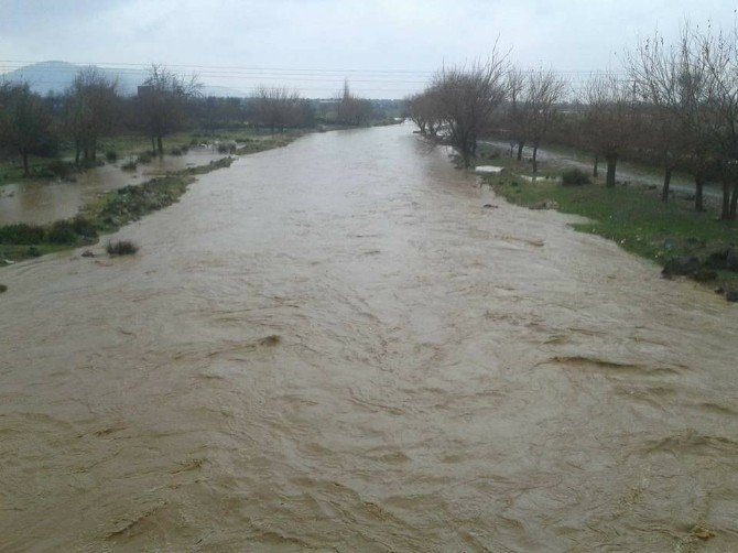 Yağışlar Çatıllı çayını coşturdu