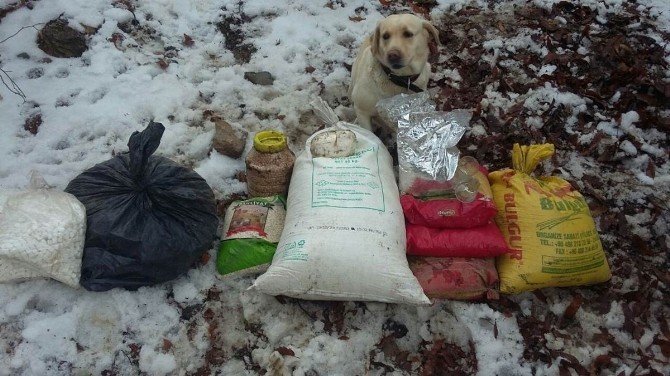 Batman’da bomba yapımında kullanılan malzemeler ile 3 sığınak ele geçirildi