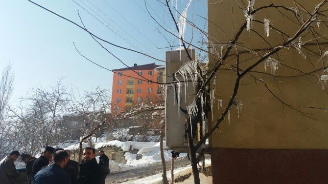 Hakkari’de ağaçlar buz tuttu