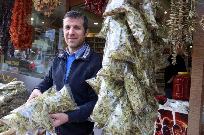 Ihlamurun kilosu 150 liradan satılıyor
