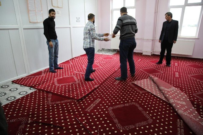 Haliliye Belediyesi halı dağıtımlarına devam ediyor