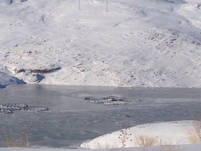 Sibirya soğukları Zernek Barajını dondurdu