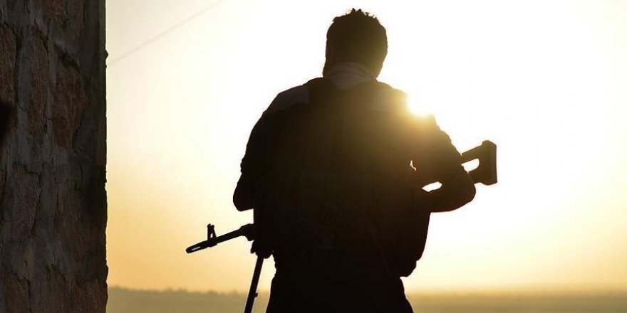 Ürdün, Katar ve Mısır, Suriye'deki ateşkesten memnun