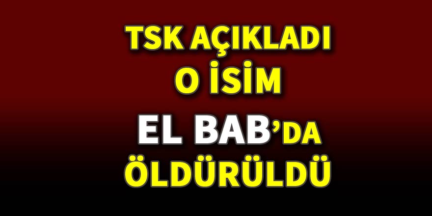 TSK: DEAŞ yöneticilerinden Ebu Ensari öldürüldü