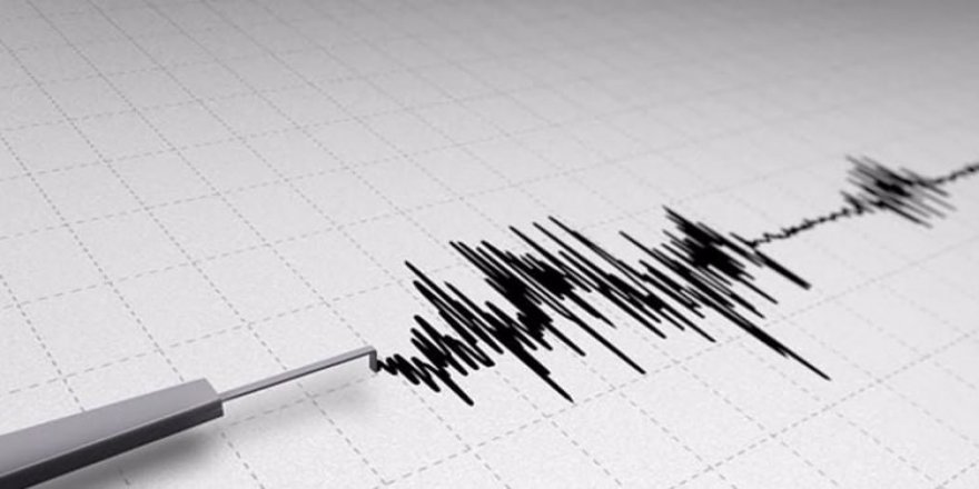 Van'da korkutan deprem