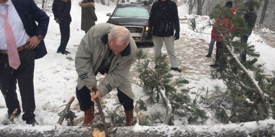 Haberal’ın aracının önüne ağaç devrildi