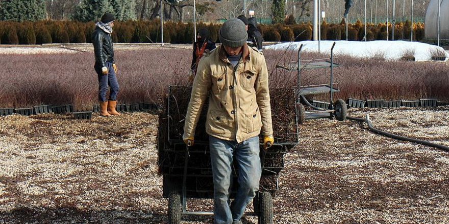 Vatandaşın 'yeşil yollar'da seyahati için üretim yapıyorlar
