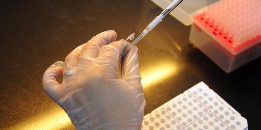 Laboratuvar ortamında insan midesine ait dokular geliştirildi
