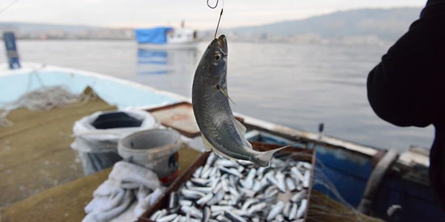 Çanakkale Boğazı'nda "ekmek çinekopun ağzında"