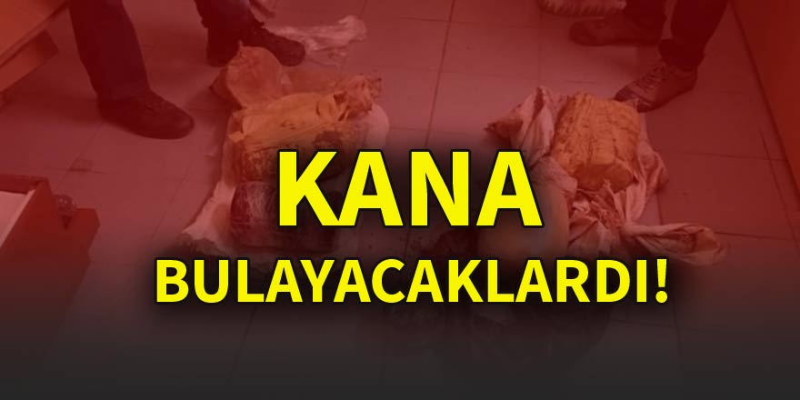 Kana bulayacaklardı!