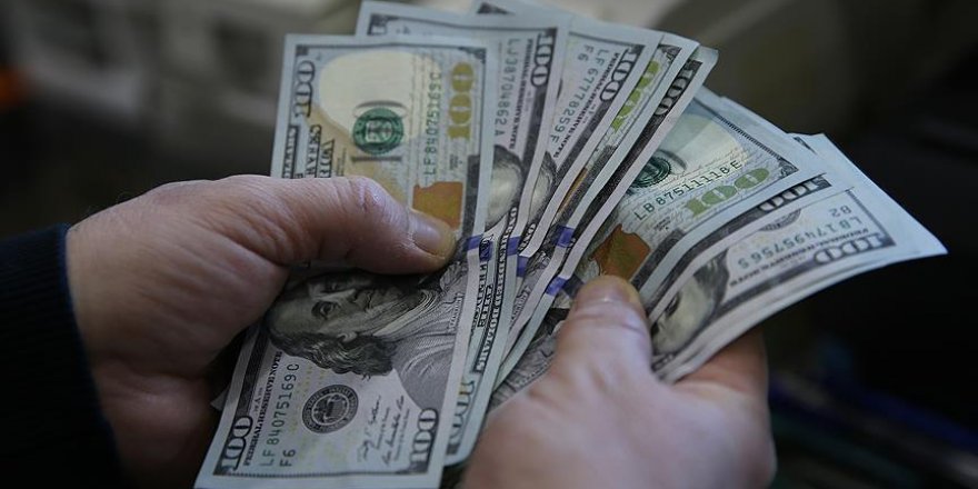 Dolar/TL tarihi zirvesini gördü