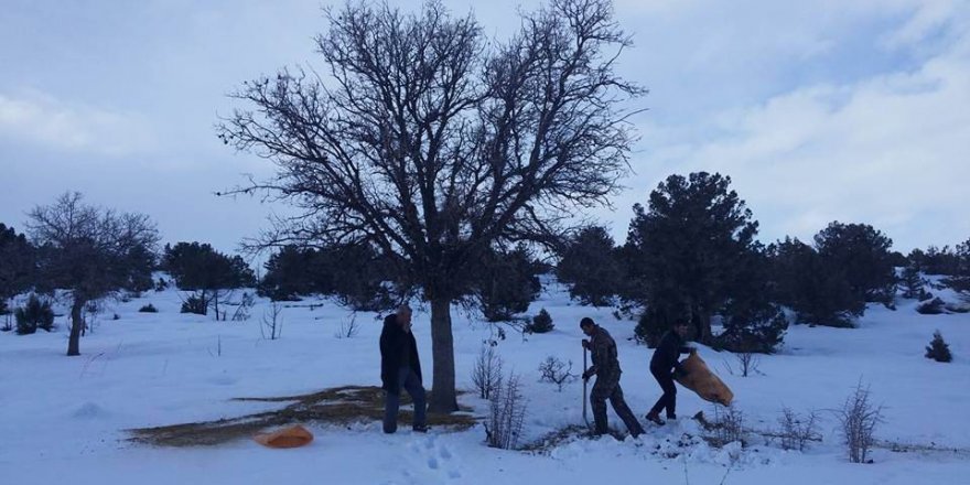 Konya’da kuşlar için doğaya yem bırakıldı