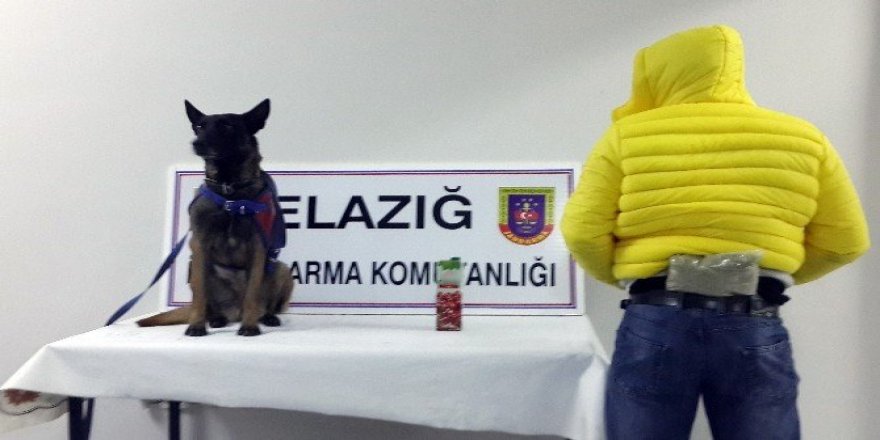 Sırtında ve meyve suyu kutusunda esrar ele geçirildi