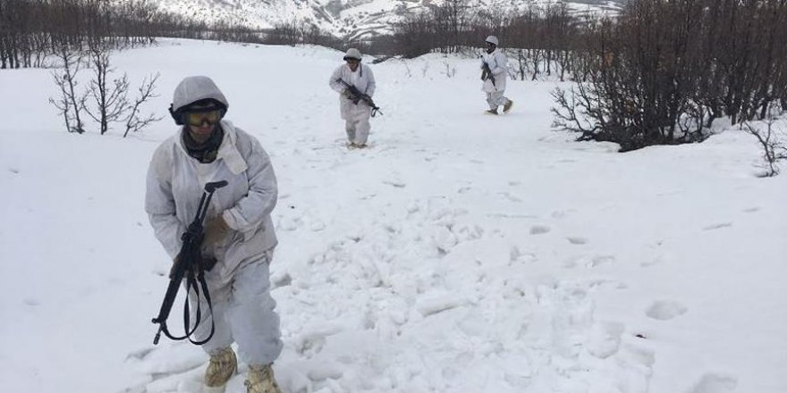 Terör örgütlerinin 'kış üslenmesi'ne ağır darbe