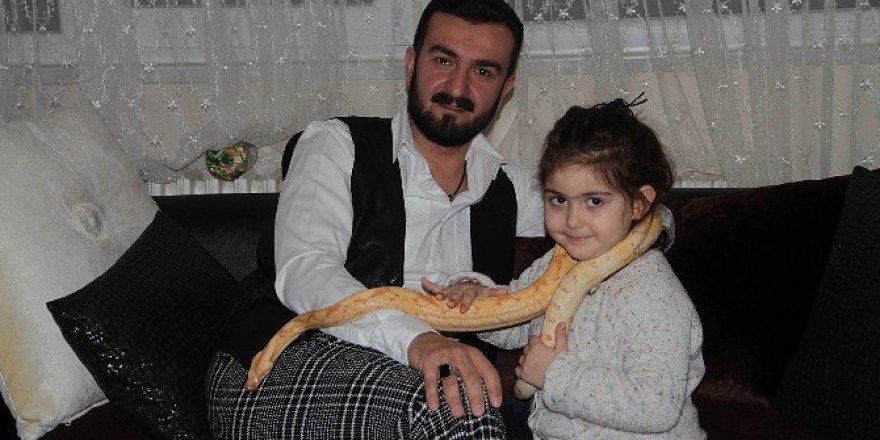 Yılan korkusunu yenmek için evinde yılan besliyor