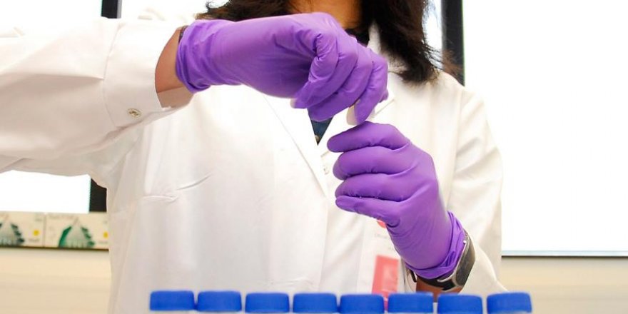 "Genetik kimlik değiştirmeye patent verilmeyecek"