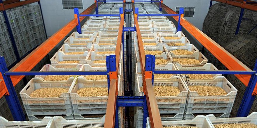 Hububat, bakliyat ve yağlı tohumlarda ihracat rekoru