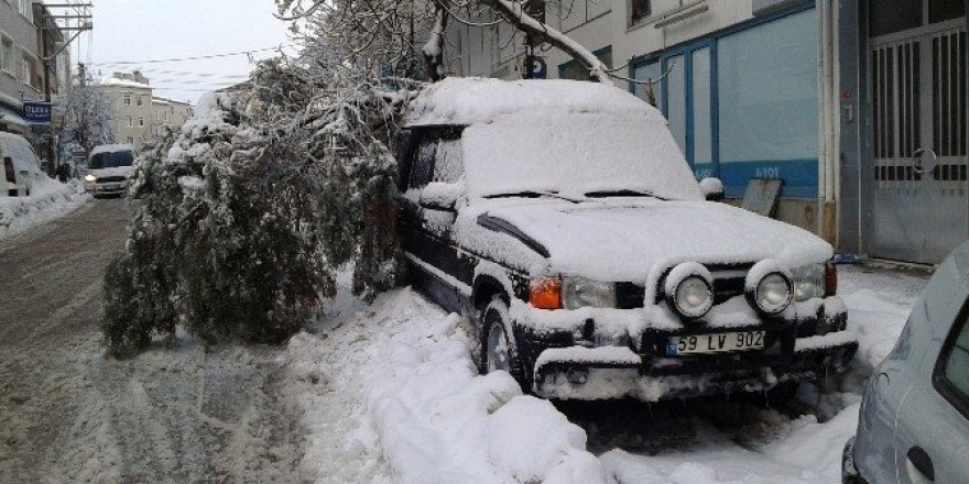 Çam ağacı aracın üzerine devrildi