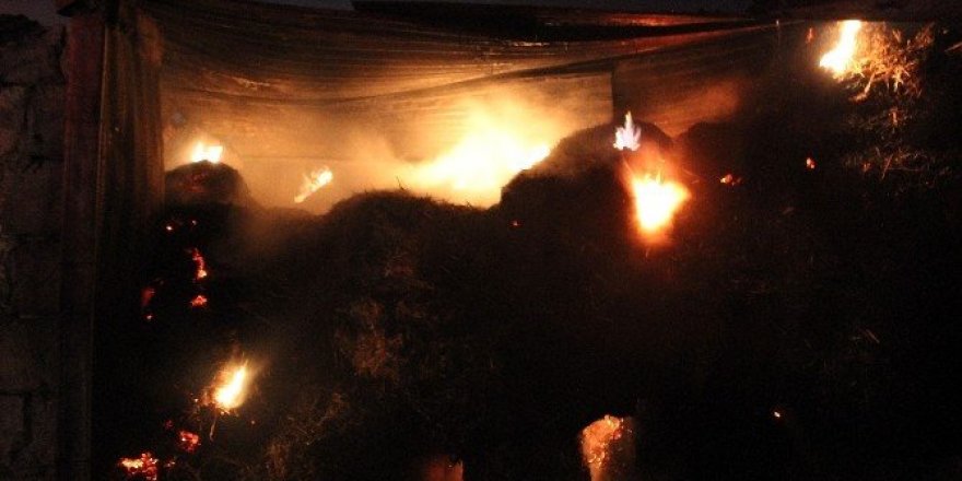 Kocaeli’de 500 balya samanlık alev alev yandı