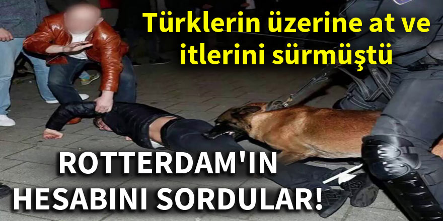 Rotterdam'da yaşananların hesabı soruldu