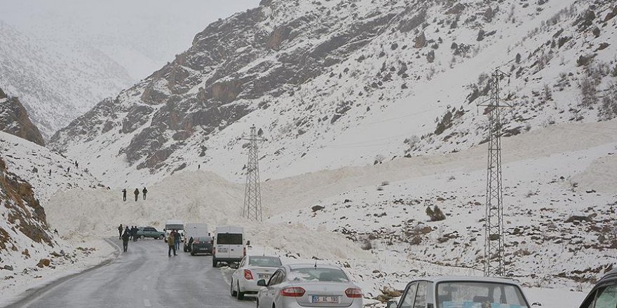 Van-Çatak karayoluna çığ düştü