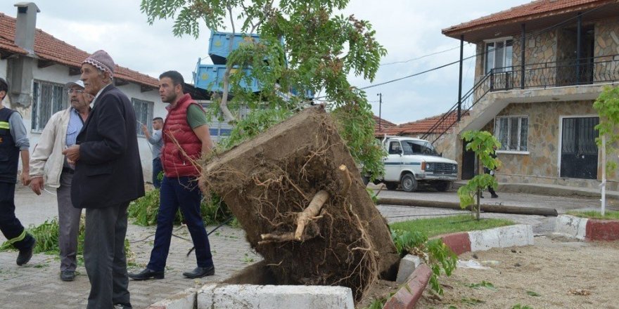 Sokağa giren tır, elektrik tellerini koparıp ağacı yerinden söktü