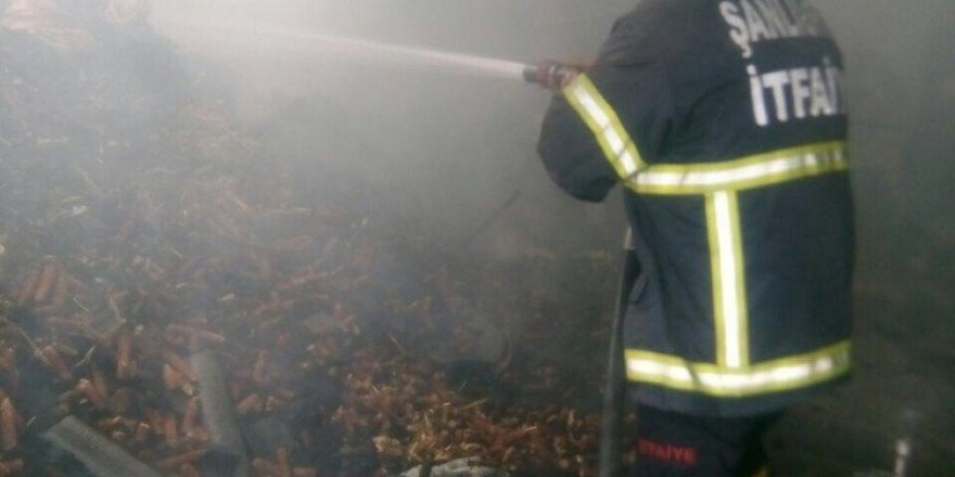 Söndürülmeyen köz yangına neden oldu
