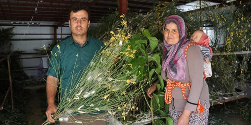 40 günde 15 bin TL kazanıyor