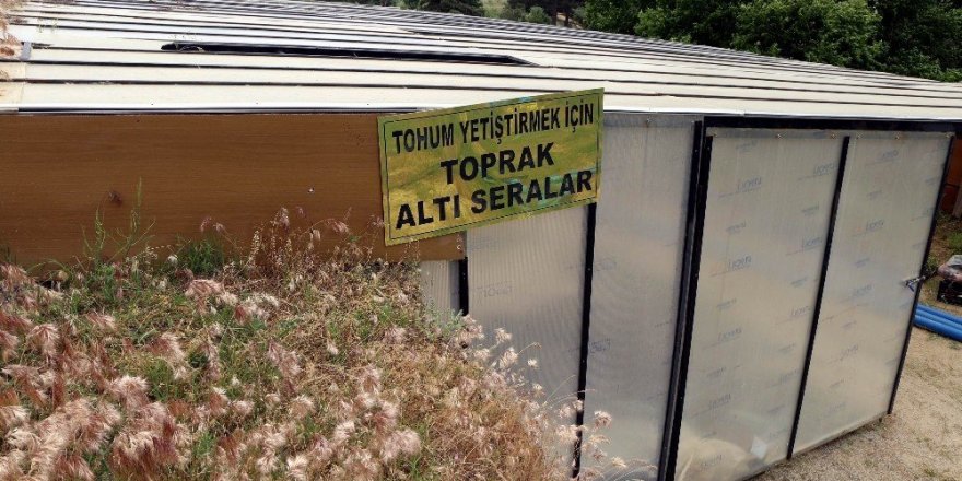 Kazdağları’nda yerli tohumları güçlendiriyorlar