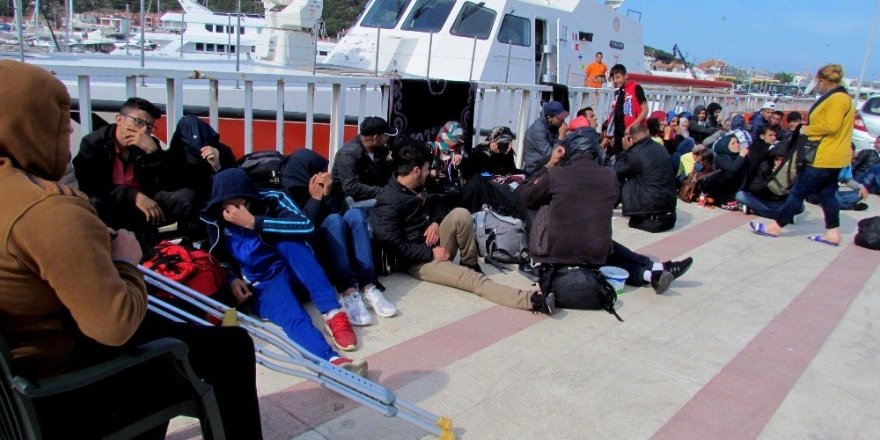 Çeşme’de 187 sığınmacı yakalandı