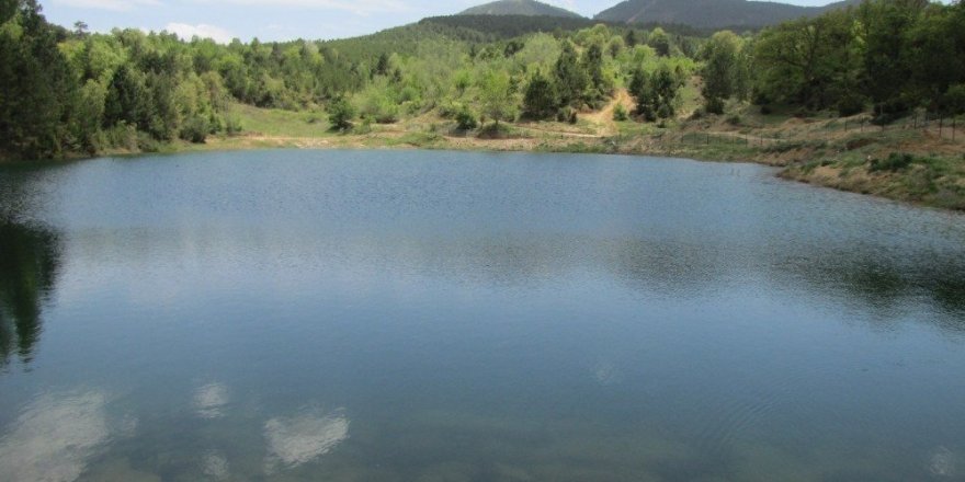 Doğa harikası piknik alanı sahipsiz