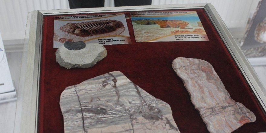 2,4 milyar yıllık fosil dünyada ilk defa Çankırı’da sergileniyor