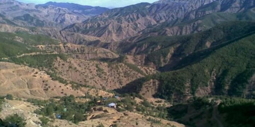 Savcılık talimatı verdi, PKK'nın dolarları cayır cayır yakıldı